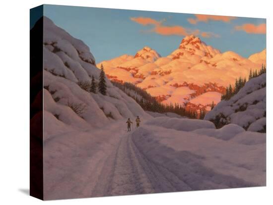 Stretched Canvas Print, , large