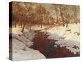 Stretched Canvas
