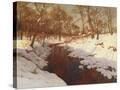 Stretched Canvas