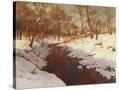 Stretched Canvas