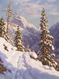 Cross-Country Ski-Ing, Haute Savoie-Ivan Fedorovich Choultse-Framed Giclee Print