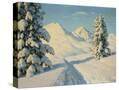 Stretched Canvas