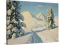 Stretched Canvas