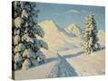 Stretched Canvas