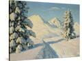 Stretched Canvas