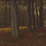 Woody Landscape-Ivan Fedorovich Choultse-Giclee Print