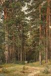 Morning in a Pine Forest, 1889-Ivan Ivanovitch Shishkin-Giclee Print