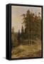 Canvas Black