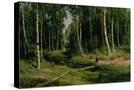 Stretched Canvas