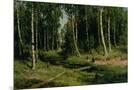 Wood Mount