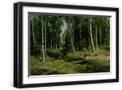 Black Frame