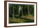Brown Frame