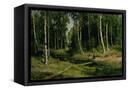 Canvas Black
