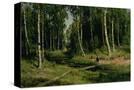 Stretched Canvas
