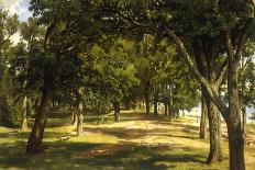 A Summer Day, Merikiul, 1895-Ivan Ivanovich Shishkin-Giclee Print