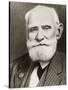 Ivan Petrovich Pavlov Russian Physiologist-null-Stretched Canvas