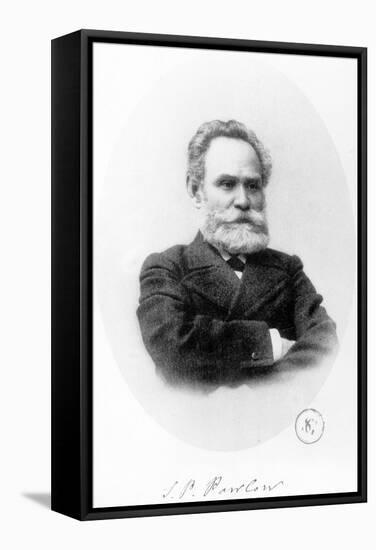 Ivan Petrovich Pavlov-null-Framed Stretched Canvas