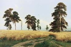 Rye Field, 1878-Ivan Shishkin-Stretched Canvas