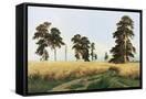 Canvas Black