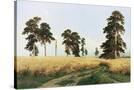 Stretched Canvas
