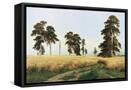 Canvas Black