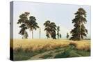Stretched Canvas