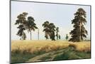 Wood Mount