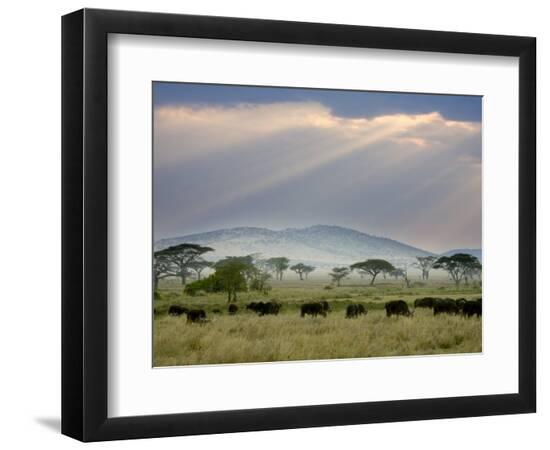 Premium Photographic Print, , large
