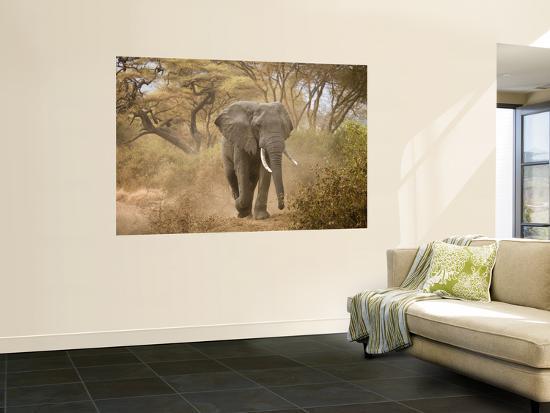 Giant Art Print, , large