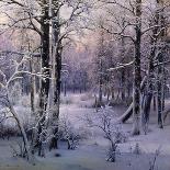 Hoarfrost, 1906-Ivan Velz-Stretched Canvas