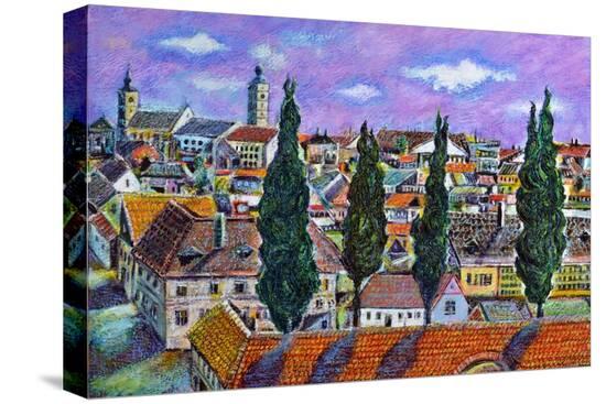 Stretched Canvas Print, , large