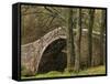 Ivelet Bridge, a Traditional Packhorse Bridge, Swaledale, Yorkshire Dales National Park, England-Paul Harris-Framed Stretched Canvas