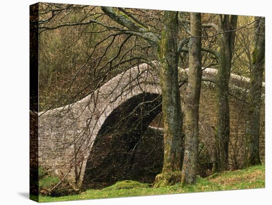 Ivelet Bridge, a Traditional Packhorse Bridge, Swaledale, Yorkshire Dales National Park, England-Paul Harris-Stretched Canvas