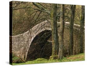 Ivelet Bridge, a Traditional Packhorse Bridge, Swaledale, Yorkshire Dales National Park, England-Paul Harris-Stretched Canvas