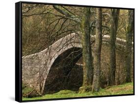 Ivelet Bridge, a Traditional Packhorse Bridge, Swaledale, Yorkshire Dales National Park, England-Paul Harris-Framed Stretched Canvas