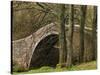 Ivelet Bridge, a Traditional Packhorse Bridge, Swaledale, Yorkshire Dales National Park, England-Paul Harris-Stretched Canvas