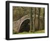 Ivelet Bridge, a Traditional Packhorse Bridge, Swaledale, Yorkshire Dales National Park, England-Paul Harris-Framed Photographic Print