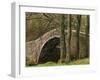 Ivelet Bridge, a Traditional Packhorse Bridge, Swaledale, Yorkshire Dales National Park, England-Paul Harris-Framed Photographic Print