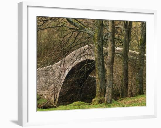 Ivelet Bridge, a Traditional Packhorse Bridge, Swaledale, Yorkshire Dales National Park, England-Paul Harris-Framed Photographic Print