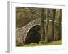 Ivelet Bridge, a Traditional Packhorse Bridge, Swaledale, Yorkshire Dales National Park, England-Paul Harris-Framed Photographic Print