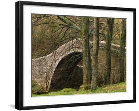 Ivelet Bridge, a Traditional Packhorse Bridge, Swaledale, Yorkshire Dales National Park, England-Paul Harris-Framed Photographic Print