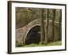 Ivelet Bridge, a Traditional Packhorse Bridge, Swaledale, Yorkshire Dales National Park, England-Paul Harris-Framed Photographic Print