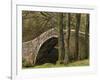 Ivelet Bridge, a Traditional Packhorse Bridge, Swaledale, Yorkshire Dales National Park, England-Paul Harris-Framed Photographic Print