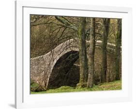 Ivelet Bridge, a Traditional Packhorse Bridge, Swaledale, Yorkshire Dales National Park, England-Paul Harris-Framed Photographic Print