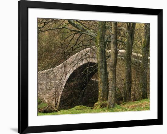 Ivelet Bridge, a Traditional Packhorse Bridge, Swaledale, Yorkshire Dales National Park, England-Paul Harris-Framed Photographic Print