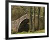 Ivelet Bridge, a Traditional Packhorse Bridge, Swaledale, Yorkshire Dales National Park, England-Paul Harris-Framed Photographic Print