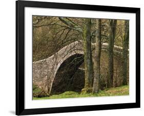 Ivelet Bridge, a Traditional Packhorse Bridge, Swaledale, Yorkshire Dales National Park, England-Paul Harris-Framed Photographic Print