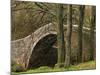 Ivelet Bridge, a Traditional Packhorse Bridge, Swaledale, Yorkshire Dales National Park, England-Paul Harris-Mounted Photographic Print