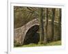 Ivelet Bridge, a Traditional Packhorse Bridge, Swaledale, Yorkshire Dales National Park, England-Paul Harris-Framed Photographic Print