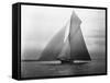 Iverna Yacht at Full Sail-null-Framed Stretched Canvas